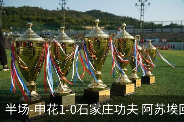 半场-申花1-0石家庄功夫 阿苏埃回归首球+失空门马纳法献助攻